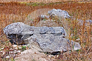 Big limestone stones among dread grass in autumn