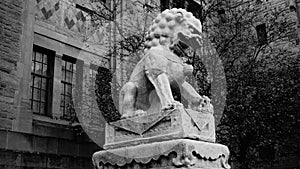 Lion sculpture photo