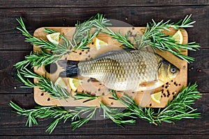 Big live carp crucian on a cutting board with rosemary branches.