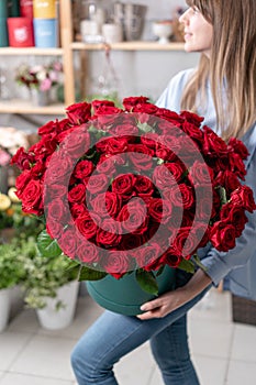 Big luxury bright bouquet in the hands of a cute girl. One hundred of garden red roses. Color passionately scarlet