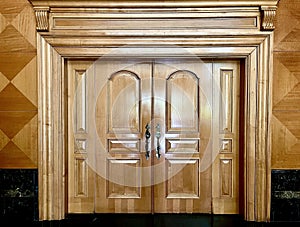 Big luxury wooden door