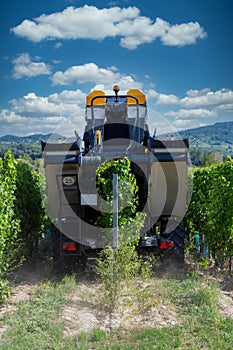 Big machine working ina grape rows