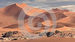 Big Mamma Dune, Sossusvlei, Namibia