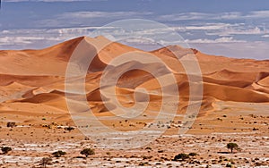 The Big Mamma Sand Dune of Namib desert, near Sossusvlei, Namibia. Photographed from Deadvlei dunes.