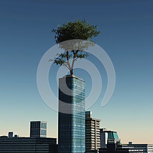 Big maple tree on top of a skyscrape