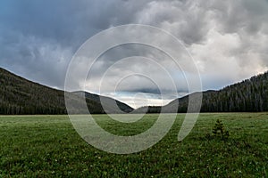 Big Meadows - Rocky Mountain National Park