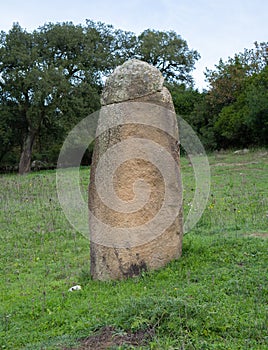 Big megalithic menhirs of sorgono , sardinia central - prenuragic