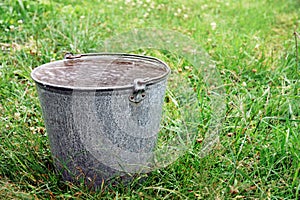 Big metal bucket full of rain water on green grass photo