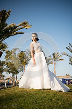 Big moment is coming. Bride luxury white wedding dress sunny day tropic nature background. Tropic wedding. Woman pretty