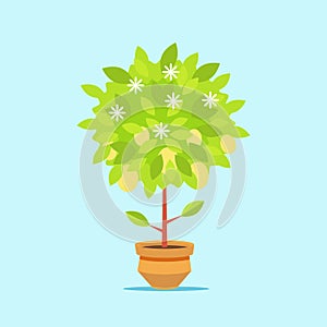 Big money tree in a pot. The growth of financial wealth. Isolated on white background. Vector, illustration EPS10.
