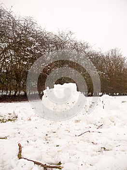 big mound of rolled up ball of white snow outside landscape nature trees