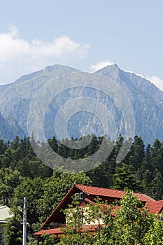 Big mountain with forest and house at bottom