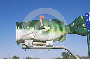 A big-mouth bass mailbox, Battle Lake, MN