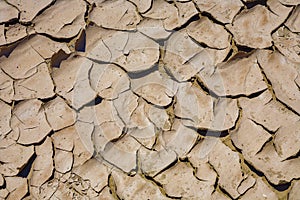 Big mud cud cracks and dried mud tiles in the death valley