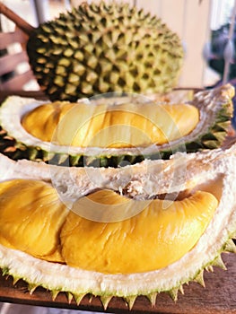 Big Musang King Durian in Malaysia photo
