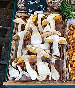 Big Mushrooms Porcino half cut, in a Basket on Market. Delicious gourmet Food