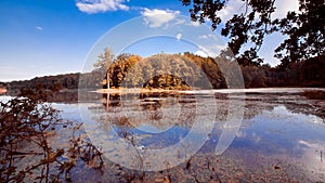 Big natural lake in forest on sunny summer midday with deep blue sky, still water surface, nature panorama background photo