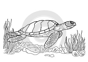 Big ocean turtle, cute striped fishes in the underwater world with algae, sand, bubbles on white isolated background. Good for