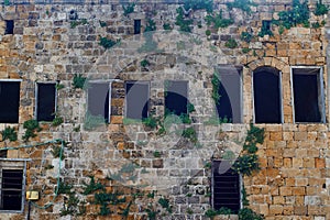 Big old brown bricks wall with plants growing on it in an old city in middle east