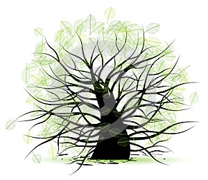 Big old tree, green leaf