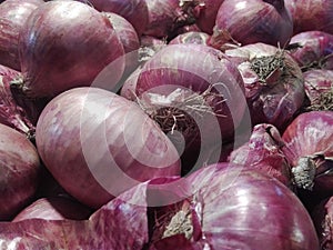 Big onions at Fresh vegetable market in srilanka