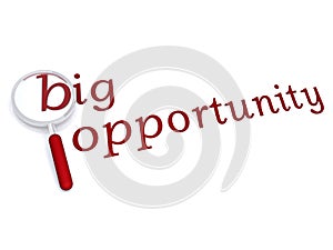 Big opportunity with magnifiying glass