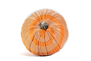 Big orange decorative pumpkin isolated on white.