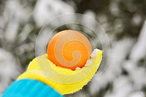 Big orange in hand in yellow glove on forest background