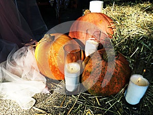 Big orange pumpkins on a pile of hay. Candles in tall glasses. Fall harvest of colorful squash. Composition with assorted raw