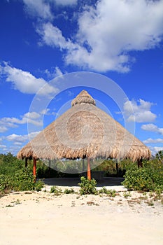 Big Palapa hut sunroof in Mexico jungle