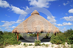 Big Palapa hut sunroof in Mexico jungle