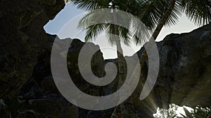 Big palms in stone cave with rays of sunlight 6