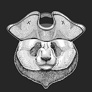 Big panda, bamboo bear portrait. Pirate cocked hat. Face of cute animal. Bear head.