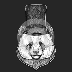 Big panda, bamboo bear portrait. Top hat, cylinder. Face of cute animal. Bear head.