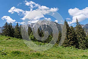 Panoramic view - Bucegi Mountains, Southern Carpathians, Romania