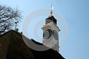 Big Petrovaradin clock tower on the right bank of Danube river i