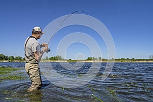 Big pike fishing. Fisherman catch fish in water at river