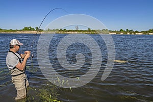 Big pike fishing. Fisherman catch fish in water at river