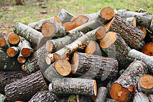 Big pile of firewood. Big pile of firewood for fireplace. sawn tree trunks red aspen and birch, piled in a heap