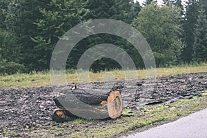 A big pile of log wood in a forest road - vintage film look