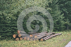 A big pile of log wood in a forest road - vintage film look