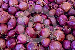 A big pile of purple onion