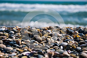 Big pile with small shells on the beach. Mixed colorful seashells on the seashore. Many different seashells piled