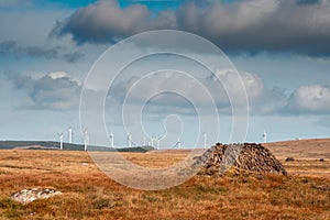 Big pile of turf drying in a field. Wind farm in the background. Warm day. Old and new source of energy. Fossil fuel versus