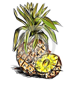 Big pineapple.