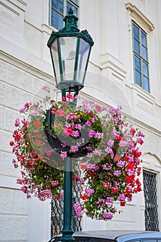 Big pink flower on a metal pole with a lantern on a street of Europe