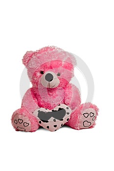 Big pink teddy bear