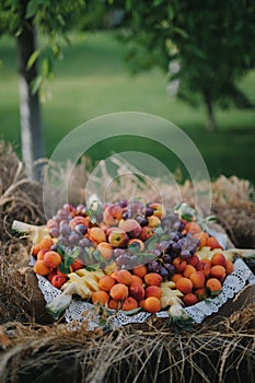 Big plate with summer fruits shot outdoors