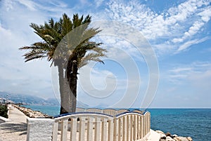 Big playa levante-benidorm,spain photo
