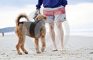 Big playful dog playing with his man owner on stunning Australian beach